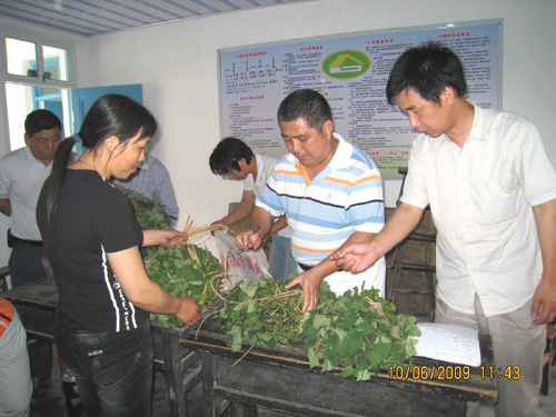 突出“科”字辦實(shí)事，服務(wù)農(nóng)民見(jiàn)成效—我院邀請(qǐng)浙江省農(nóng)科院蕃薯栽培專(zhuān)家為結(jié)對(duì)村推廣優(yōu)良品種