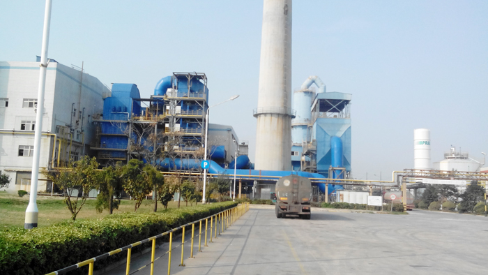 中國建材聯(lián)合會領導調研我院煙氣脫硝項目