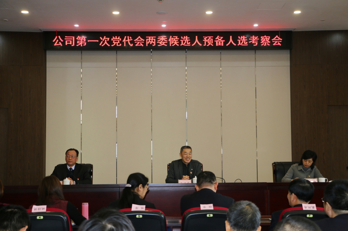 公司召開第一次黨代會兩委候選人預備人選考察會