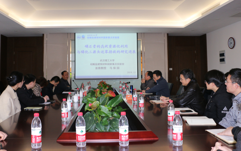 武漢理工馬保國教授到訪公司