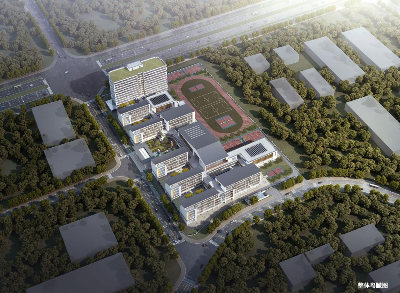 1735028656236343GbzY.png 11.png