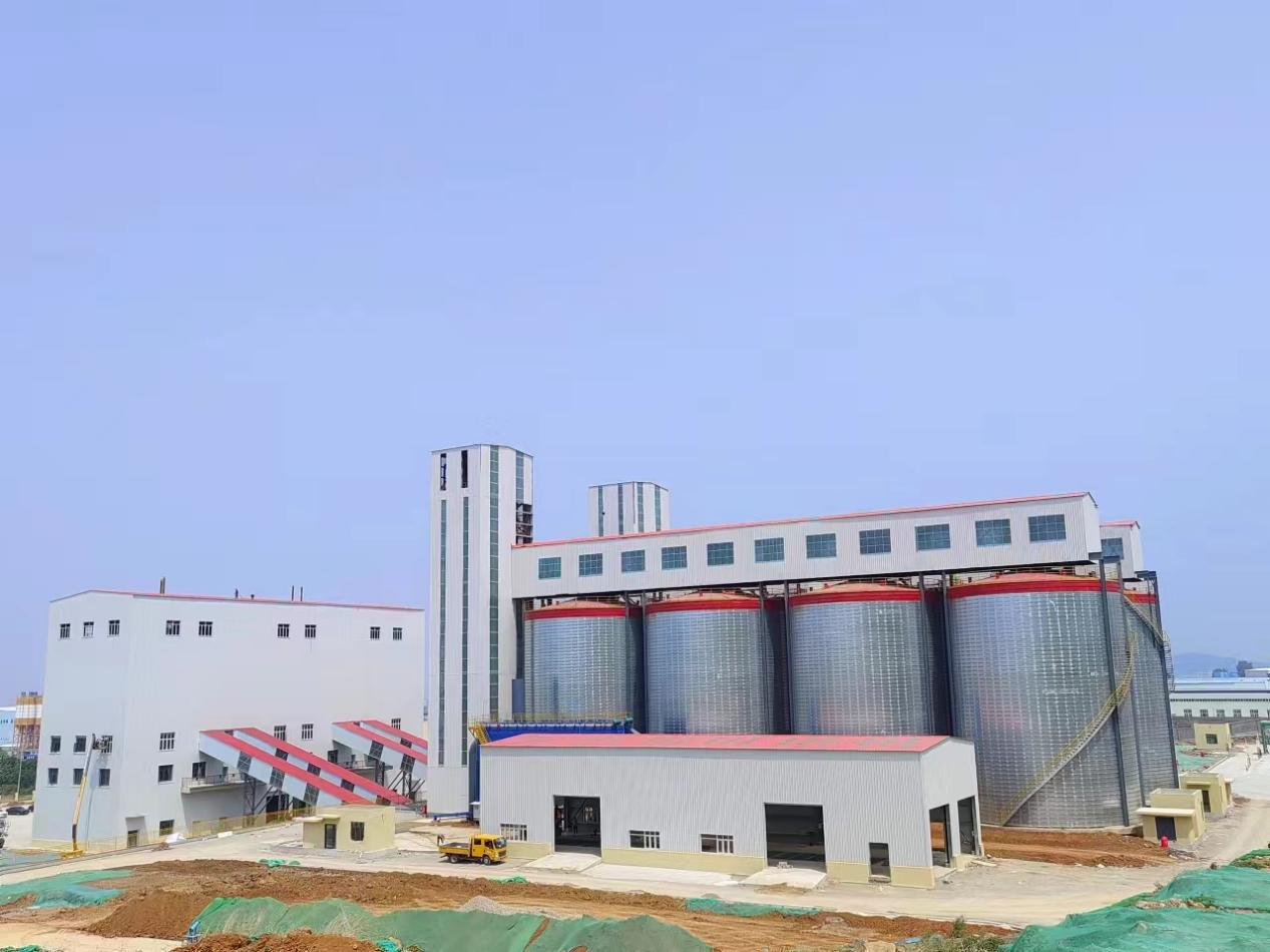 1735805465249533QIlQ.png 6.png