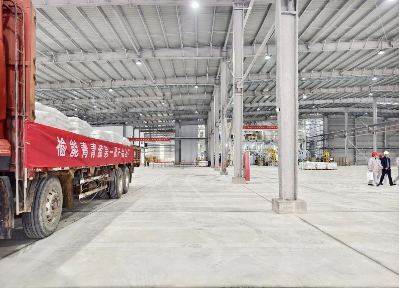 1735883659111510pNwc.jpg 3.jpg